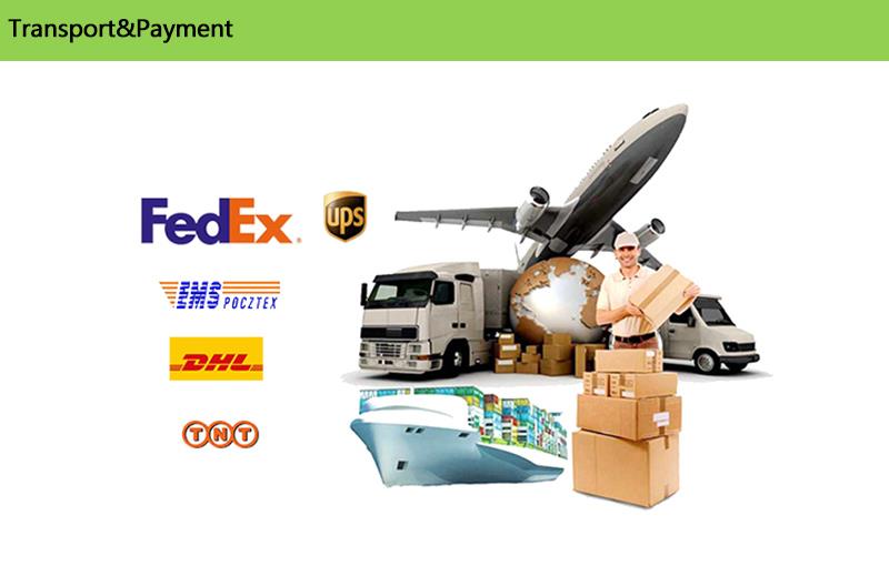 Transport%Payment Transport%Payment